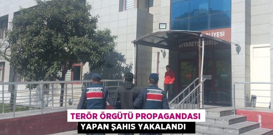 Terör örgütü propagandası yapan şahıs yakalandı  