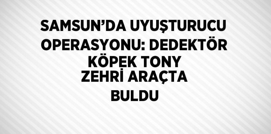 SAMSUN’DA UYUŞTURUCU OPERASYONU: DEDEKTÖR KÖPEK TONY ZEHRİ ARAÇTA BULDU