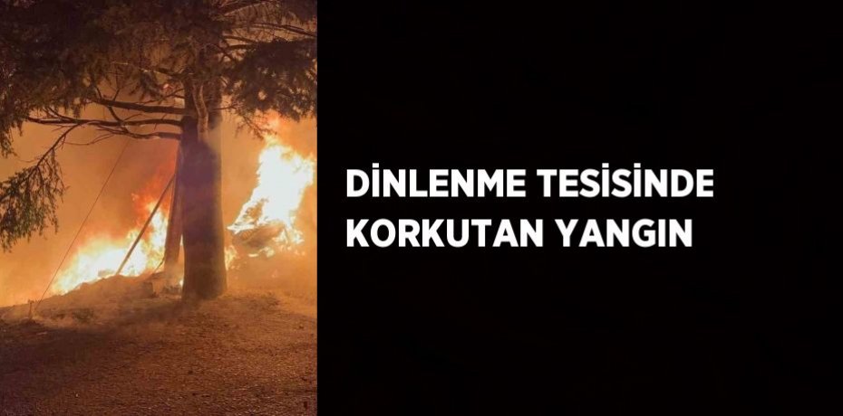 DİNLENME TESİSİNDE KORKUTAN YANGIN