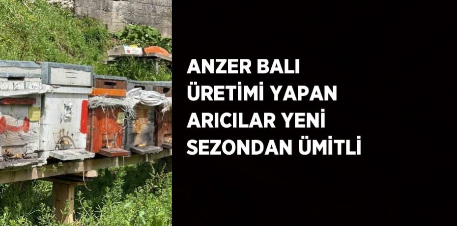 ANZER BALI ÜRETİMİ YAPAN ARICILAR YENİ SEZONDAN ÜMİTLİ