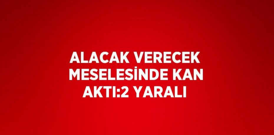 ALACAK VERECEK MESELESİNDE KAN AKTI:2 YARALI