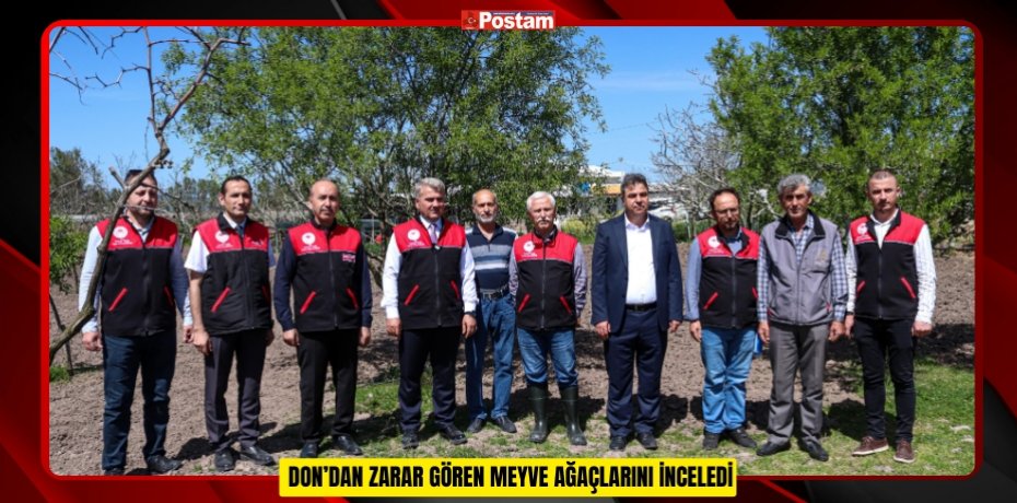 DON’DAN ZARAR GÖREN MEYVE AĞAÇLARINI İNCELEDİ
