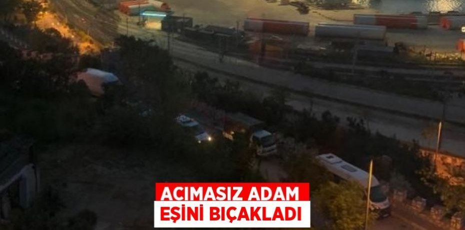 Acımasız adam eşini bıçakladı
