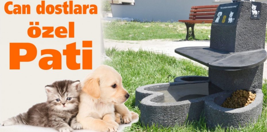 Can dostlara özel Pati