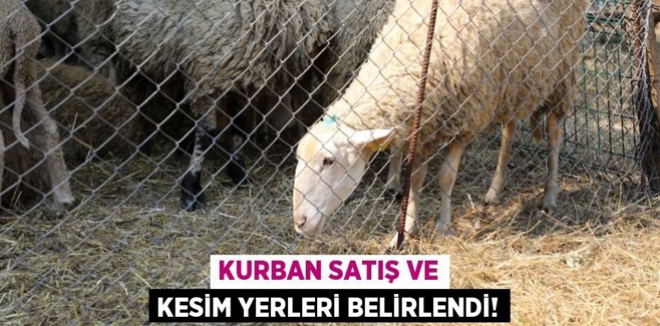 Kurban satış ve kesim yerleri belirlendi!
