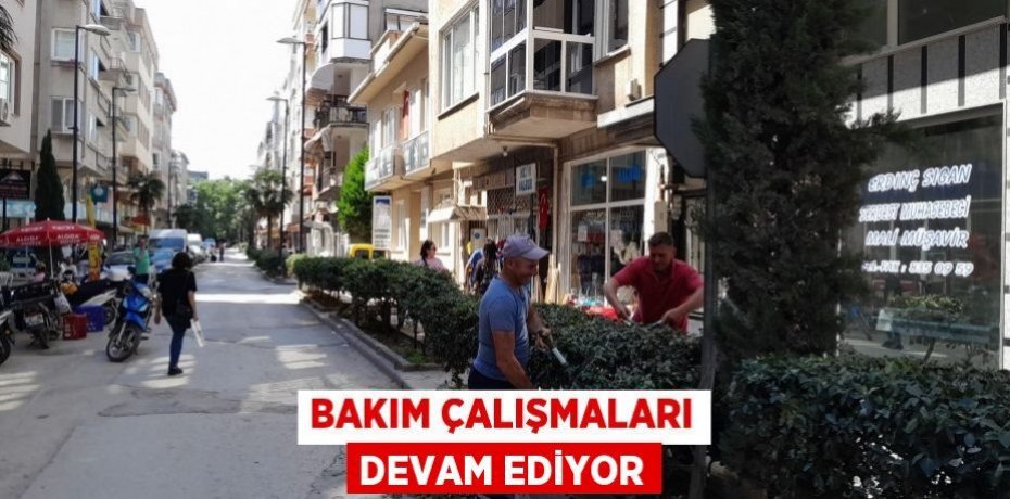 BAKIM ÇALIŞMALARI DEVAM EDİYOR
