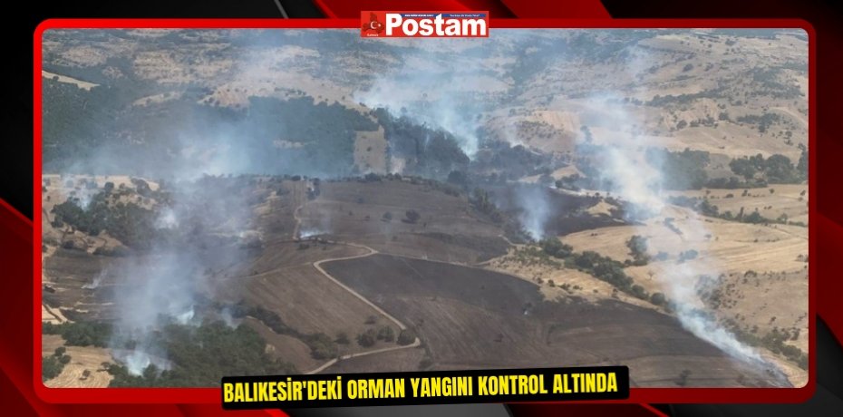 Balıkesir'deki orman yangını kontrol altında  