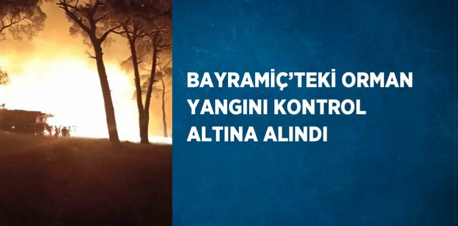 BAYRAMİÇ’TEKİ ORMAN YANGINI KONTROL ALTINA ALINDI