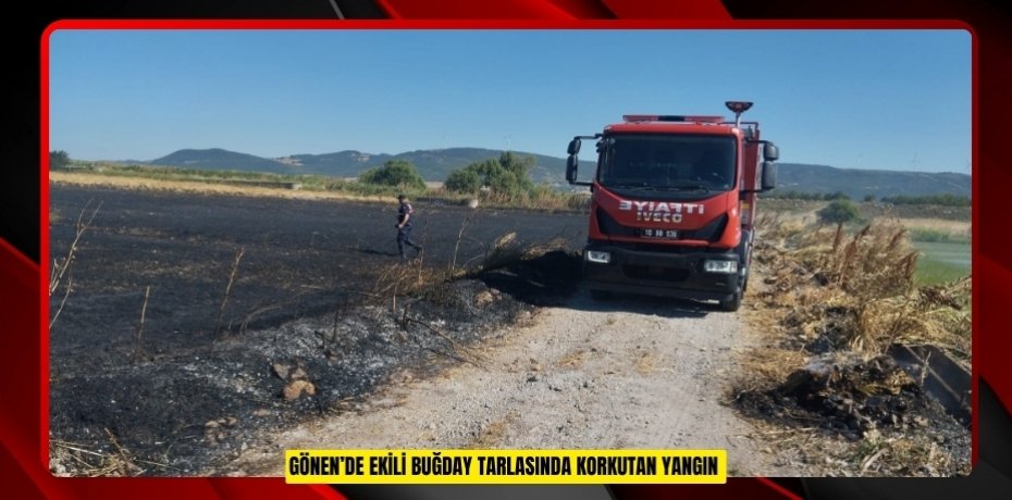 Gönen’de ekili buğday tarlasında korkutan yangın  