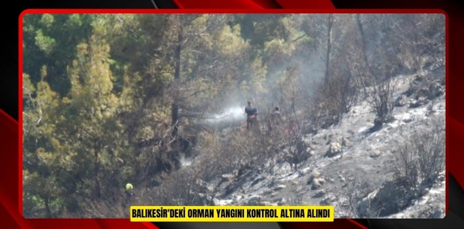Balıkesir'deki orman yangını kontrol altına alındı  