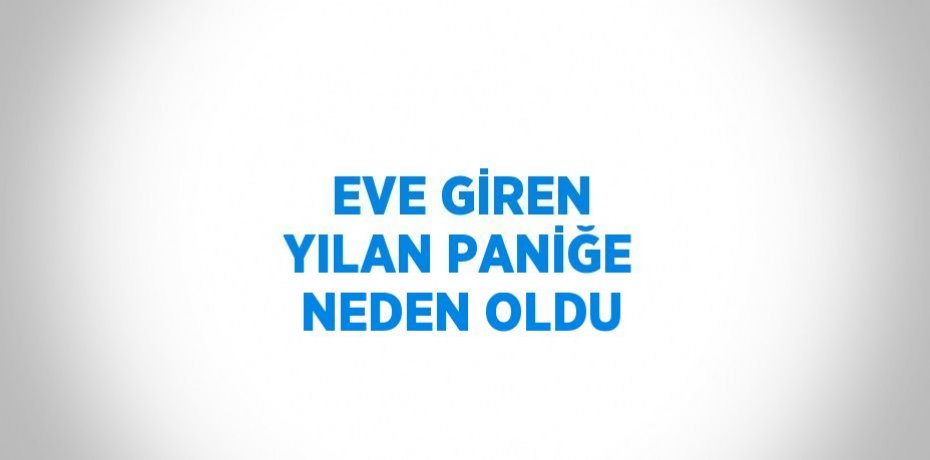 EVE GİREN YILAN PANİĞE NEDEN OLDU