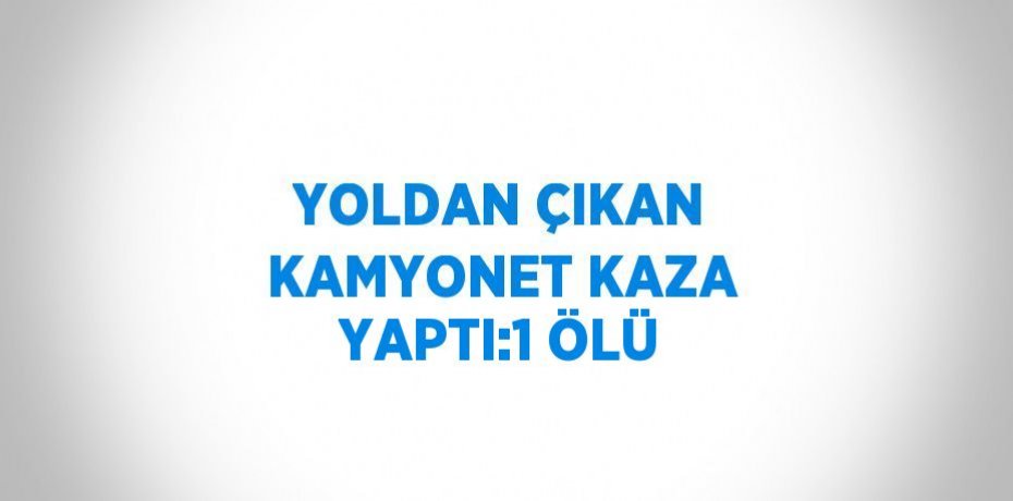 YOLDAN ÇIKAN KAMYONET KAZA YAPTI:1 ÖLÜ