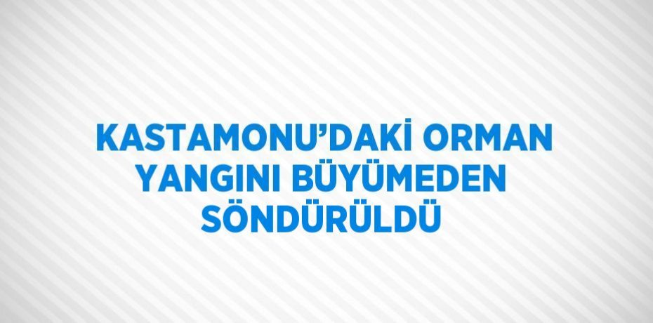 KASTAMONU’DAKİ ORMAN YANGINI BÜYÜMEDEN SÖNDÜRÜLDÜ