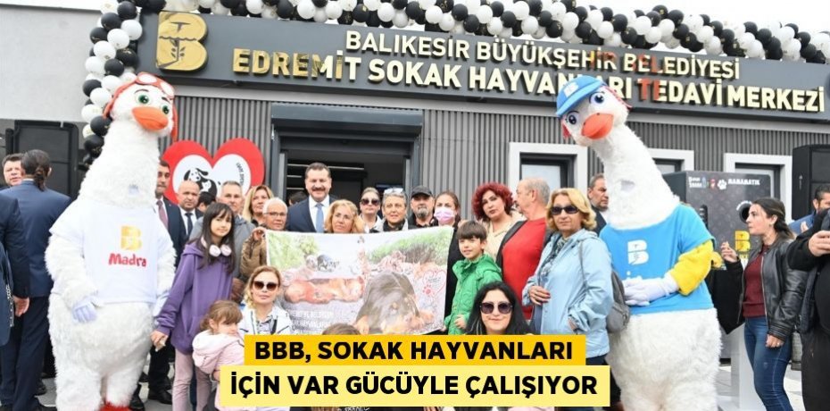 BBB, sokak hayvanları için var gücüyle çalışıyor