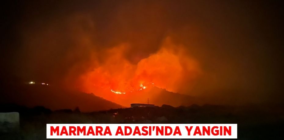 Marmara Adası'nda yangın