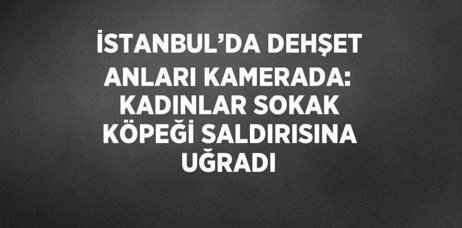 İSTANBUL’DA DEHŞET ANLARI KAMERADA: KADINLAR SOKAK KÖPEĞİ SALDIRISINA UĞRADI