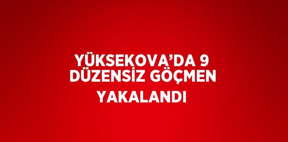 YÜKSEKOVA’DA 9 DÜZENSİZ GÖÇMEN YAKALANDI