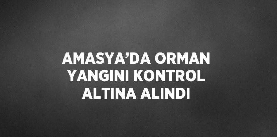 AMASYA’DA ORMAN YANGINI KONTROL ALTINA ALINDI