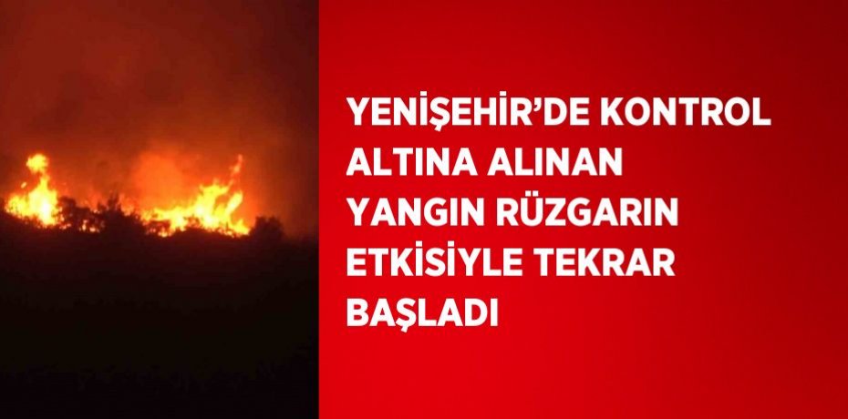 YENİŞEHİR’DE KONTROL ALTINA ALINAN YANGIN RÜZGARIN ETKİSİYLE TEKRAR BAŞLADI