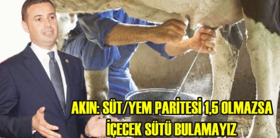 AKIN: SÜT/YEM PARİTESİ 1,5 OLMAZSA İÇECEK SÜTÜ BULAMAYIZ