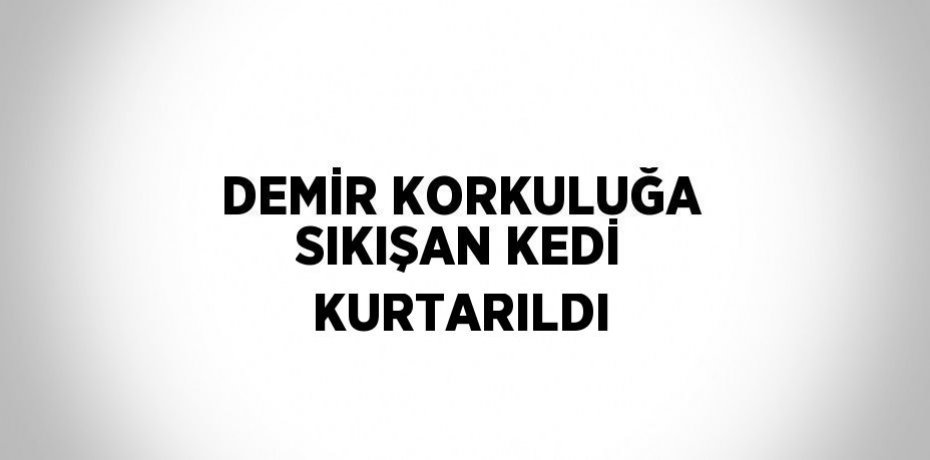 DEMİR KORKULUĞA SIKIŞAN KEDİ KURTARILDI