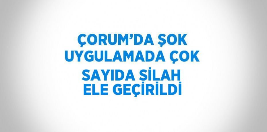 ÇORUM’DA ŞOK UYGULAMADA ÇOK SAYIDA SİLAH ELE GEÇİRİLDİ