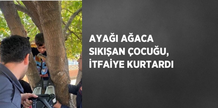 AYAĞI AĞACA SIKIŞAN ÇOCUĞU, İTFAİYE KURTARDI