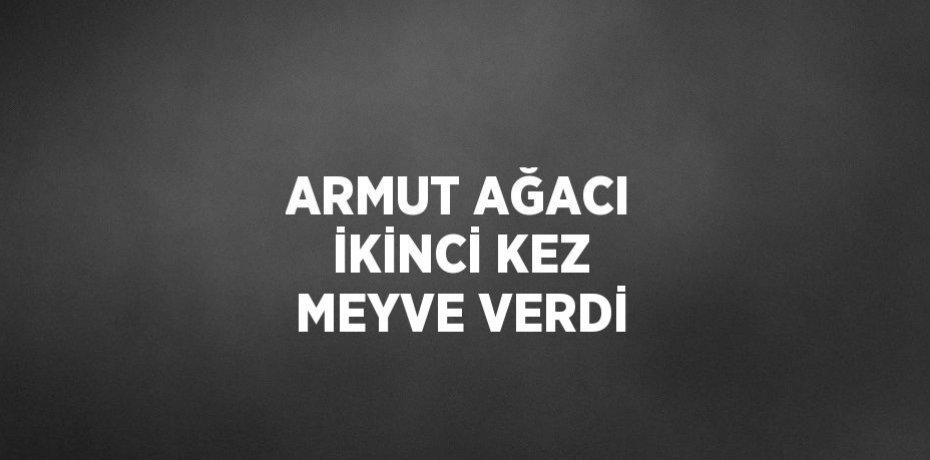 ARMUT AĞACI İKİNCİ KEZ MEYVE VERDİ