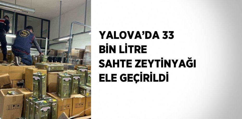 YALOVA’DA 33 BİN LİTRE SAHTE ZEYTİNYAĞI ELE GEÇİRİLDİ