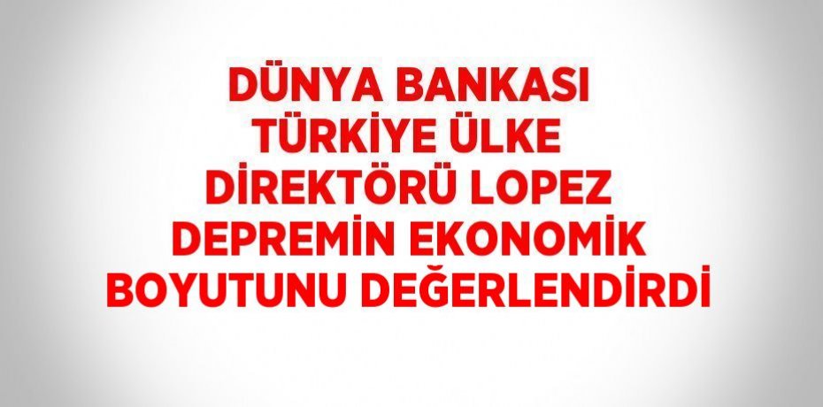 DÜNYA BANKASI TÜRKİYE ÜLKE DİREKTÖRÜ LOPEZ DEPREMİN EKONOMİK BOYUTUNU DEĞERLENDİRDİ