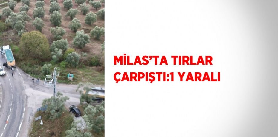 MİLAS’TA TIRLAR ÇARPIŞTI:1 YARALI