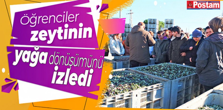 Öğrenciler zeytinin yağa dönüşümünü izledi