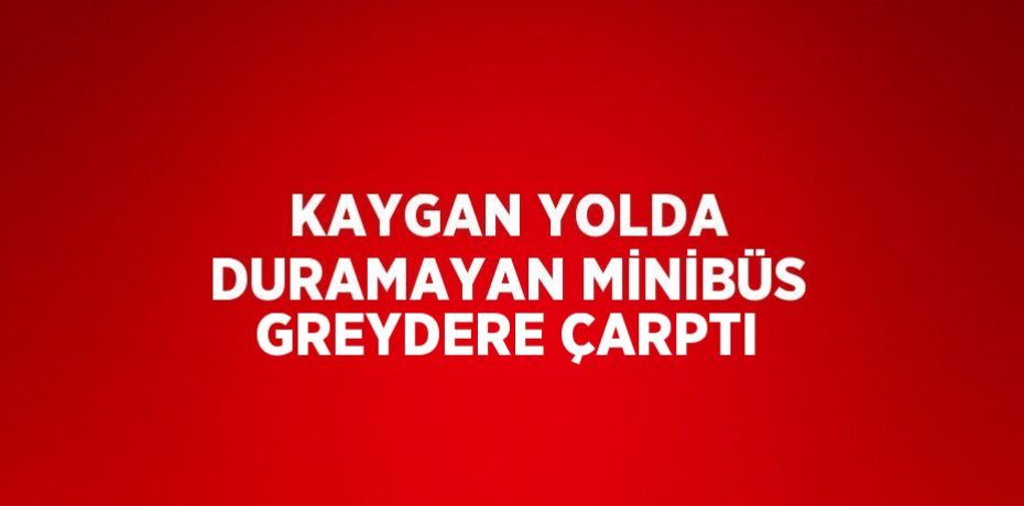 KAYGAN YOLDA DURAMAYAN MİNİBÜS GREYDERE ÇARPTI