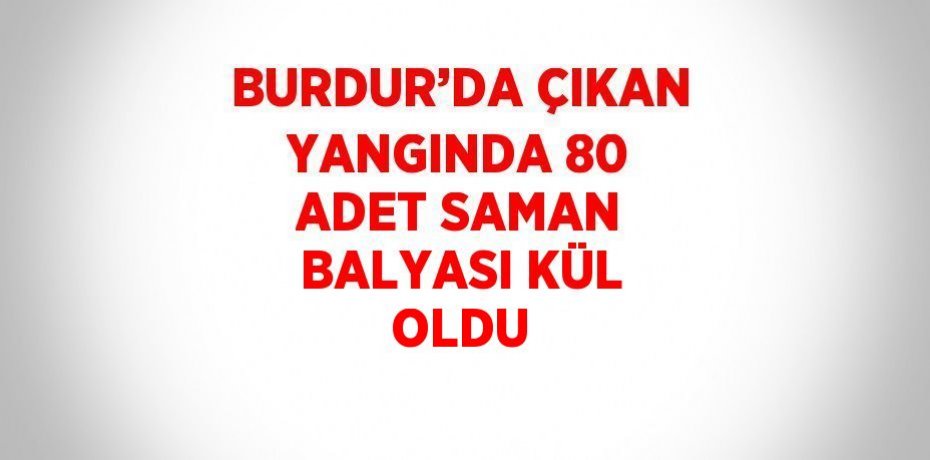 BURDUR’DA ÇIKAN YANGINDA 80 ADET SAMAN BALYASI KÜL OLDU