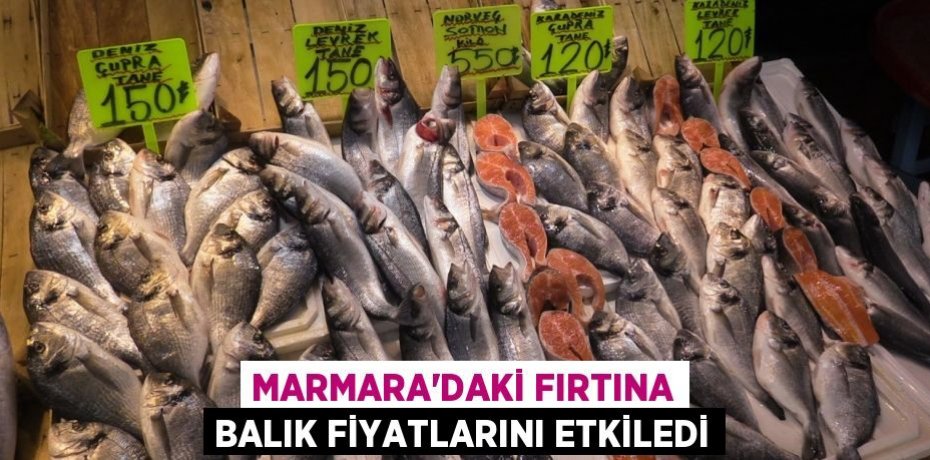 Marmara'daki fırtına balık fiyatlarını etkiledi