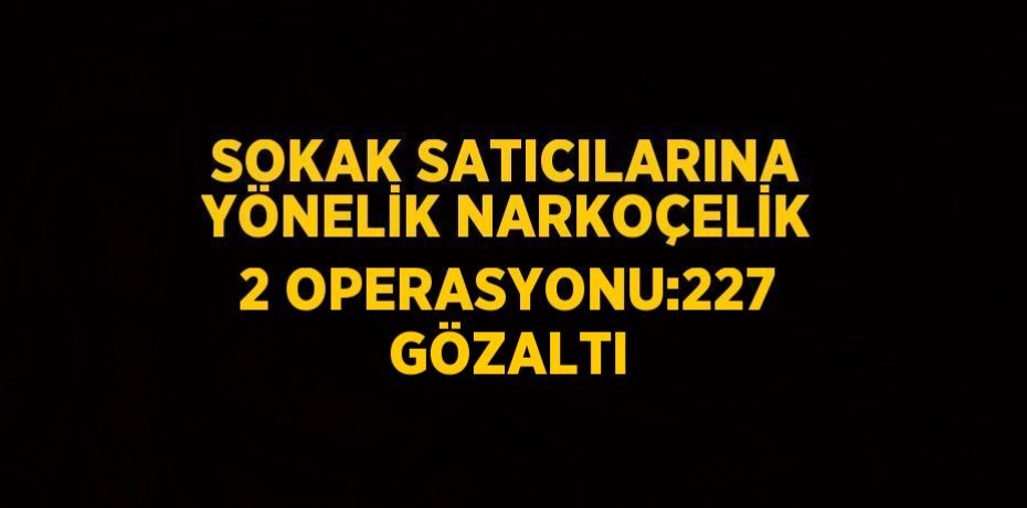 SOKAK SATICILARINA YÖNELİK NARKOÇELİK 2 OPERASYONU:227 GÖZALTI
