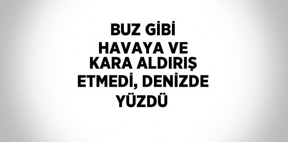 BUZ GİBİ HAVAYA VE KARA ALDIRIŞ ETMEDİ, DENİZDE YÜZDÜ