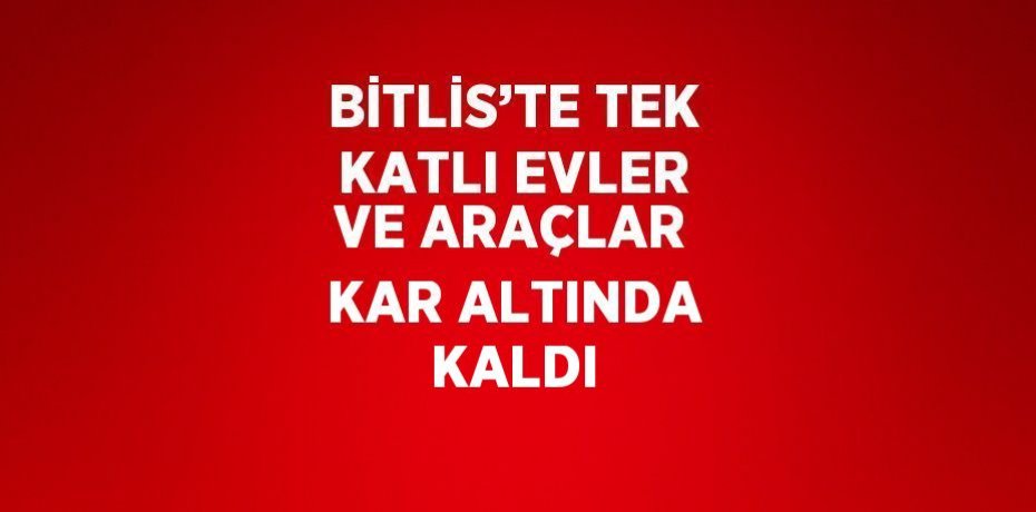 BİTLİS’TE TEK KATLI EVLER VE ARAÇLAR KAR ALTINDA KALDI