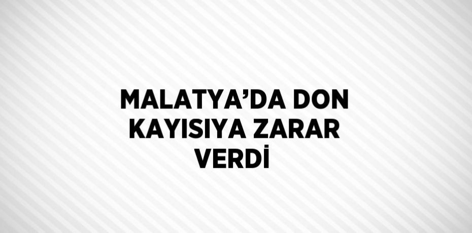 MALATYA’DA DON KAYISIYA ZARAR VERDİ