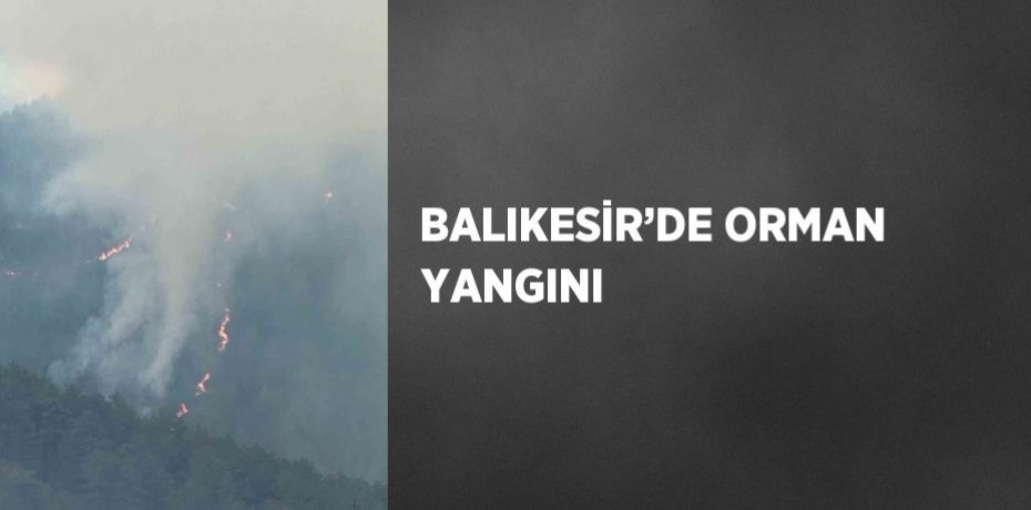 BALIKESİR’DE ORMAN YANGINI