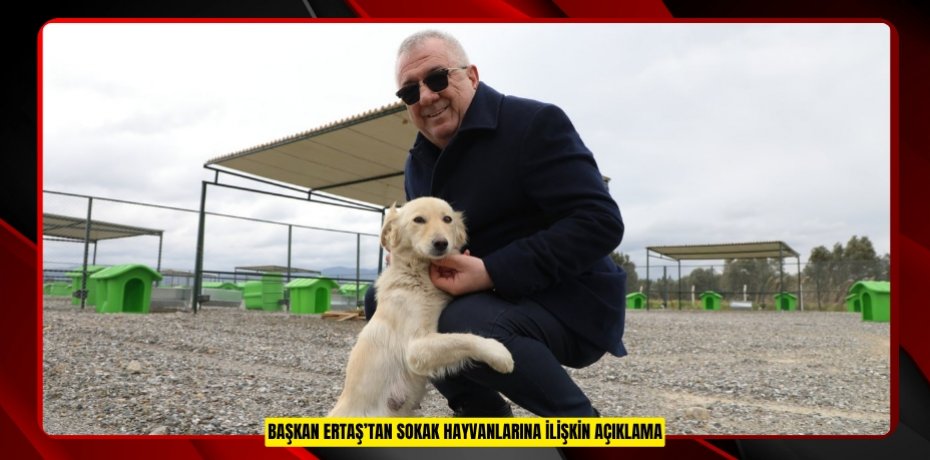 Başkan Ertaş’tan sokak hayvanlarına ilişkin açıklama