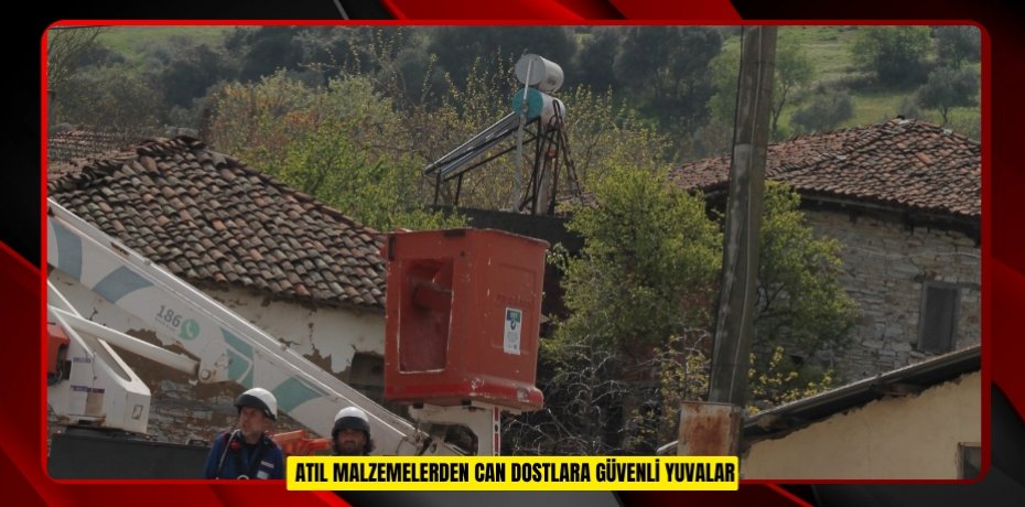  Atıl malzemelerden can dostlara güvenli yuvalar  