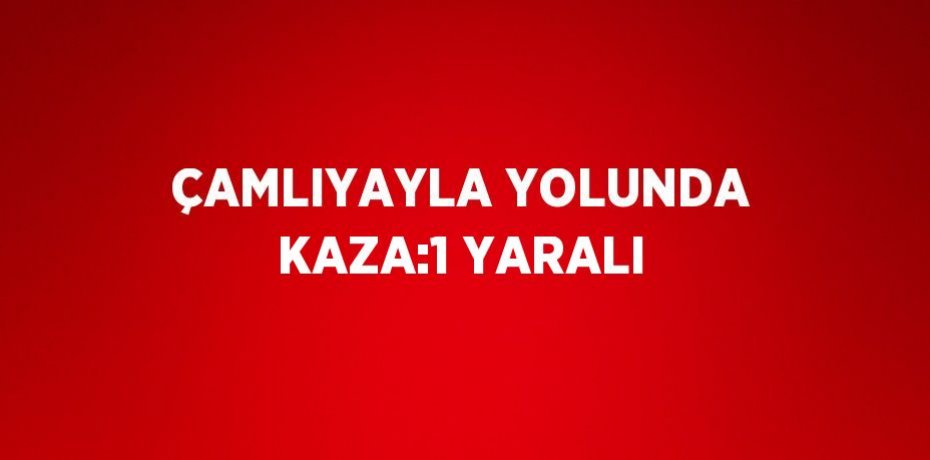 ÇAMLIYAYLA YOLUNDA KAZA:1 YARALI