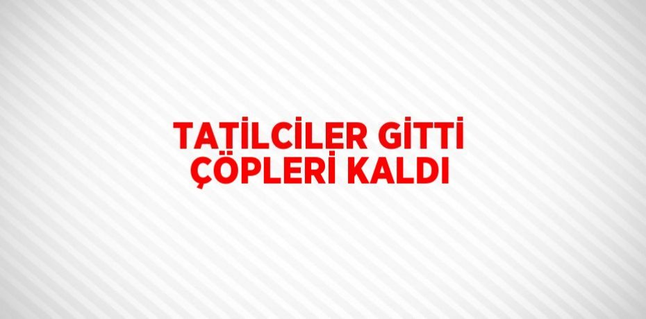 TATİLCİLER GİTTİ ÇÖPLERİ KALDI