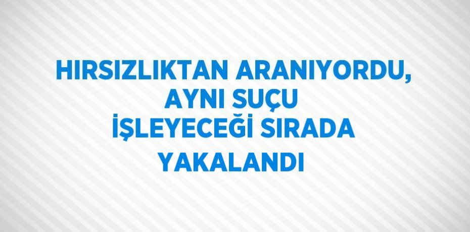 HIRSIZLIKTAN ARANIYORDU, AYNI SUÇU İŞLEYECEĞİ SIRADA YAKALANDI