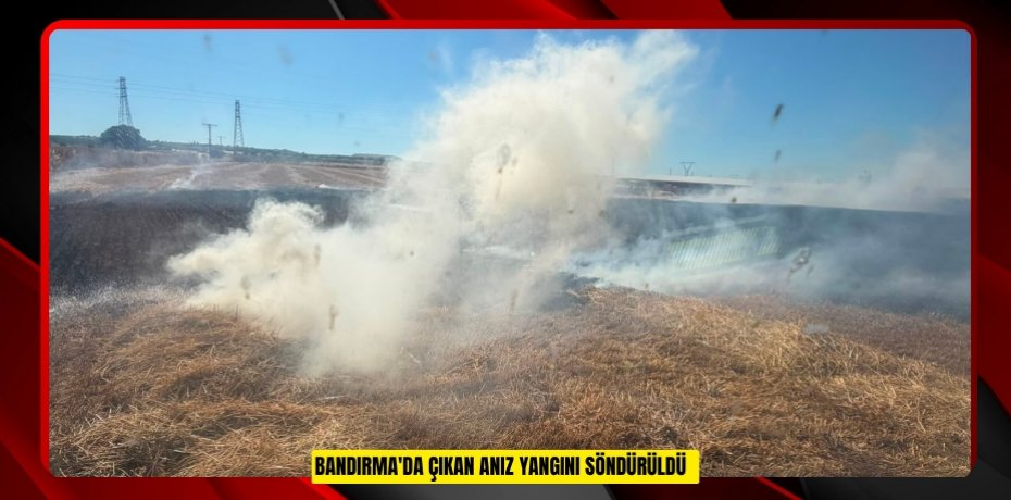 Bandırma'da çıkan anız yangını söndürüldü  