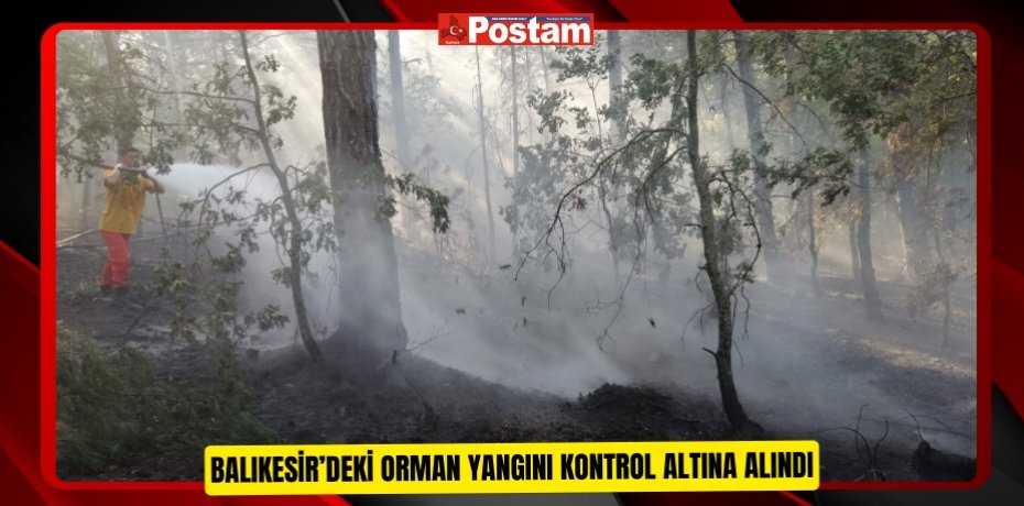Balıkesir’deki orman yangını kontrol altına alındı
