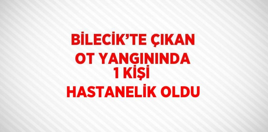 BİLECİK’TE ÇIKAN OT YANGININDA 1 KİŞİ HASTANELİK OLDU