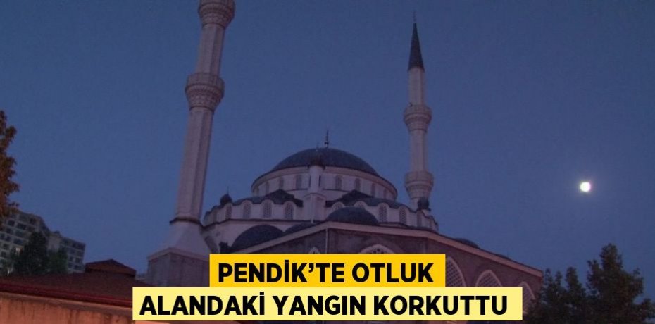 PENDİK’TE OTLUK ALANDAKİ YANGIN KORKUTTU