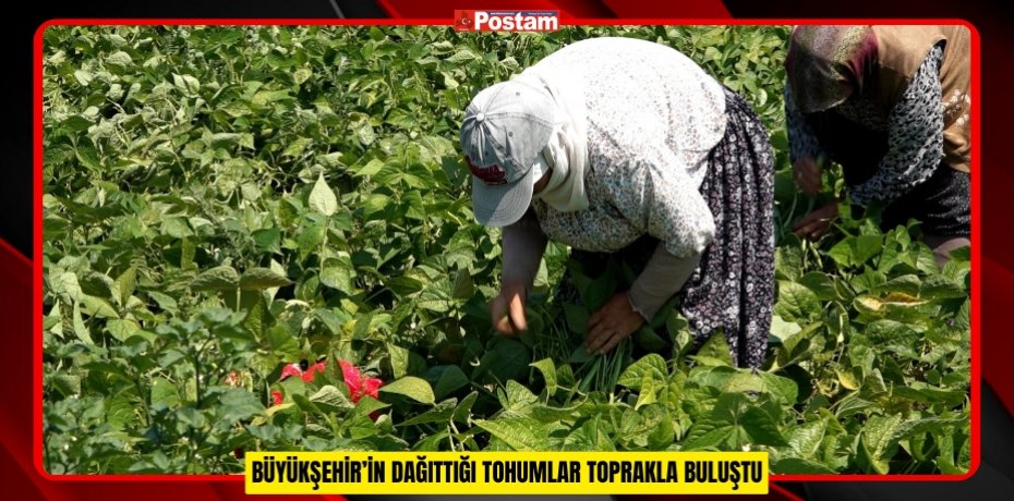 BÜYÜKŞEHİR’İN DAĞITTIĞI TOHUMLAR TOPRAKLA BULUŞTU